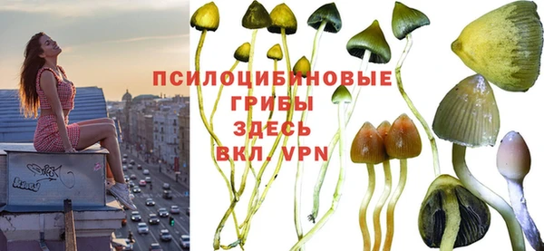 таблы Нязепетровск