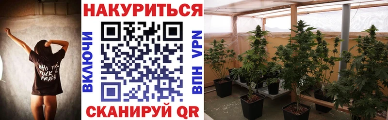 Бошки Шишки семена Сланцы